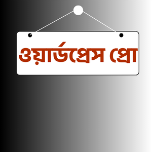 ওয়ার্ডপ্রেস প্রো